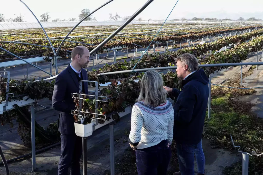 Prince William, le 6 février 2025